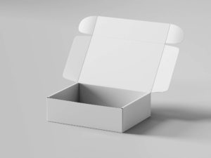 Free Pinch Lock Box Mockup - Free Package Mockups